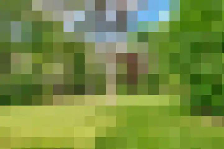 Taveernelaan 46 Bosch en Duin thumbnail 49