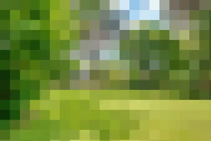 Taveernelaan 46 Bosch en Duin thumbnail 51