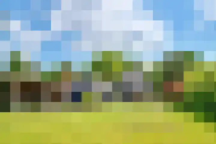 Taveernelaan 46 Bosch en Duin thumbnail 52