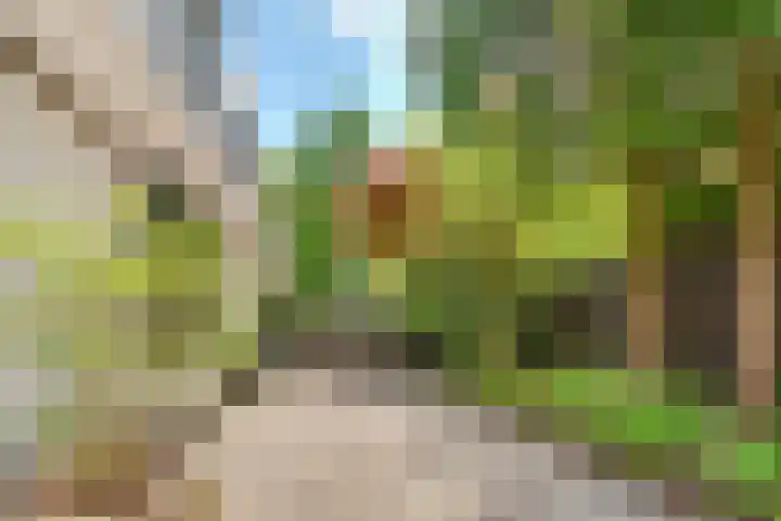 Taveernelaan 46 Bosch en Duin thumbnail 53