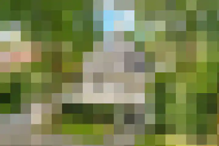 Taveernelaan 46 Bosch en Duin thumbnail 61
