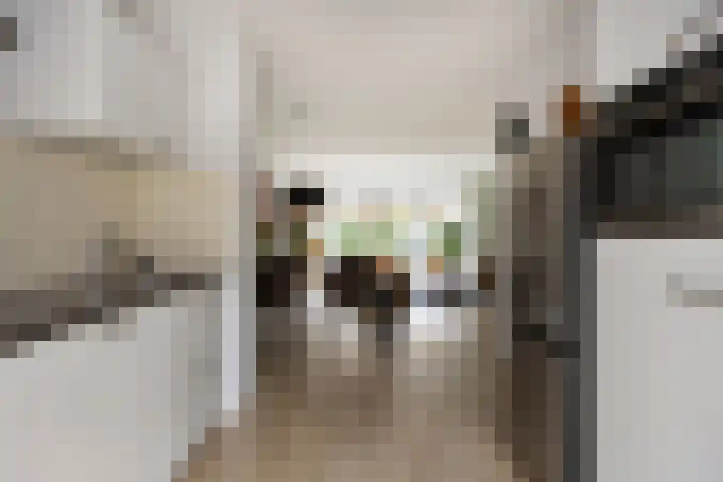 Taxandriahof 12 Waalwijk thumbnail 13