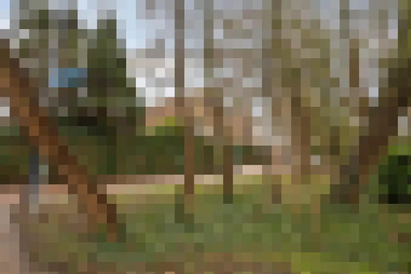 Taxandriahof 12 Waalwijk thumbnail 29