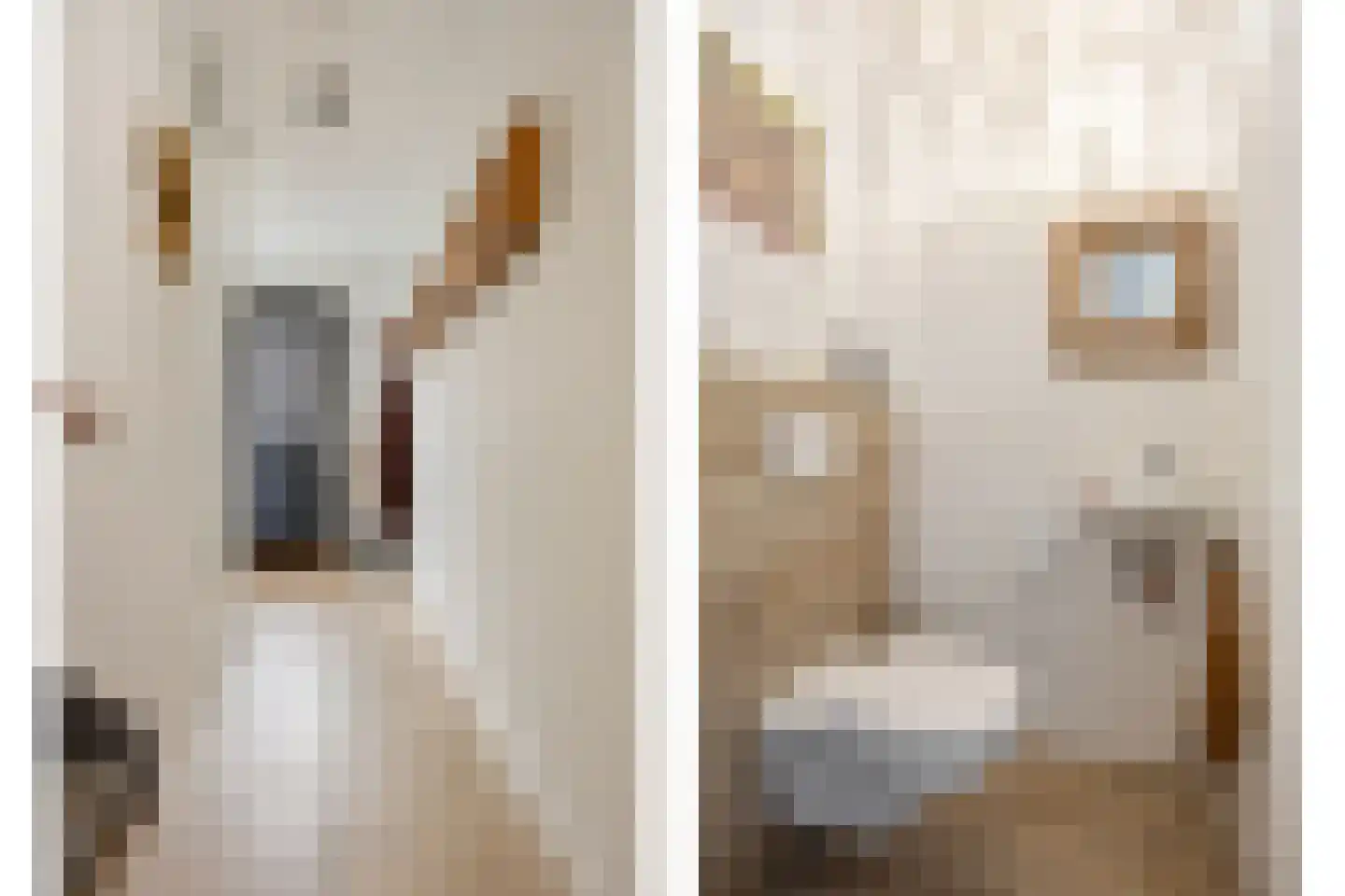 Taxandriahof 12 Waalwijk thumbnail 6