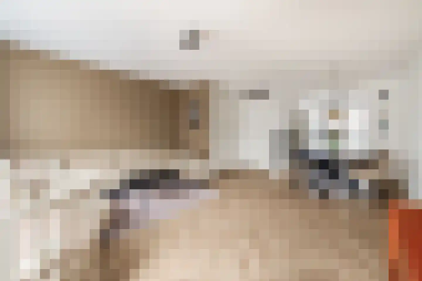 Taxandriahof 2 Waalwijk thumbnail 13