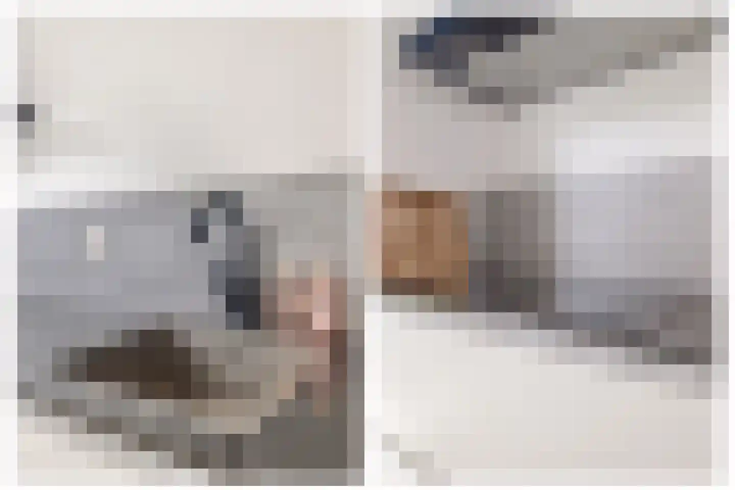 Taxandriahof 2 Waalwijk thumbnail 18