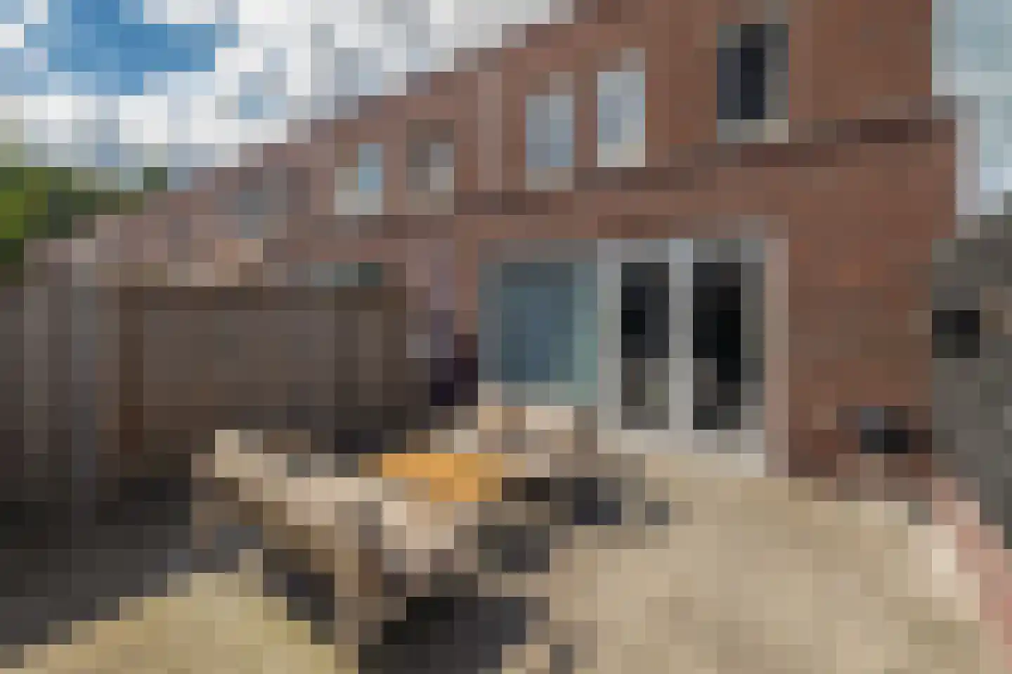 Taxandriahof 2 Waalwijk thumbnail 20