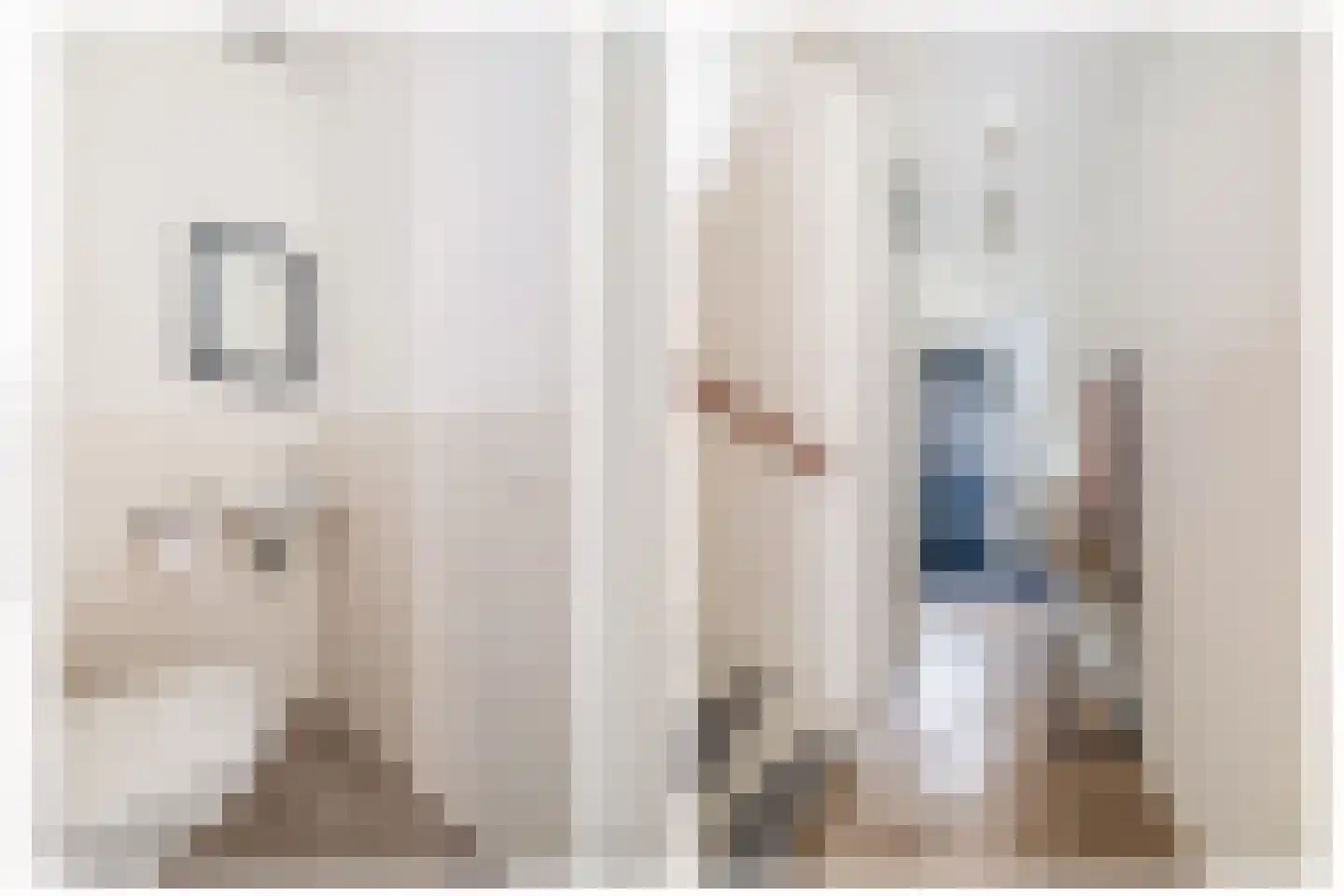 Taxandriahof 2 Waalwijk thumbnail 9