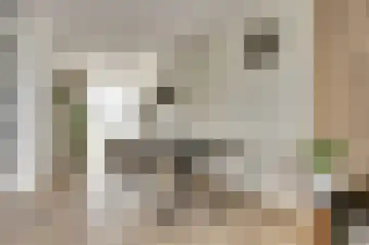 Taxandriahof 6 Waalwijk thumbnail 12