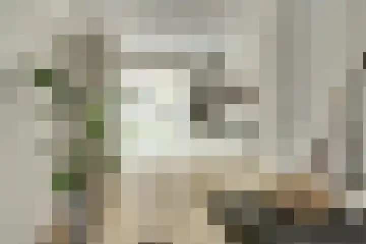 Taxandriahof 6 Waalwijk thumbnail 14