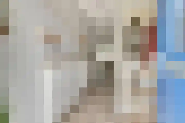 Taxandriahof 6 Waalwijk thumbnail 15