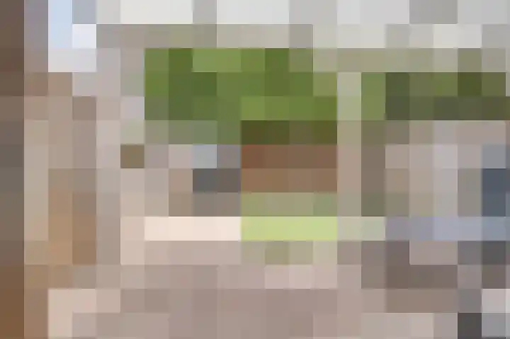 Taxandriahof 6 Waalwijk thumbnail 28