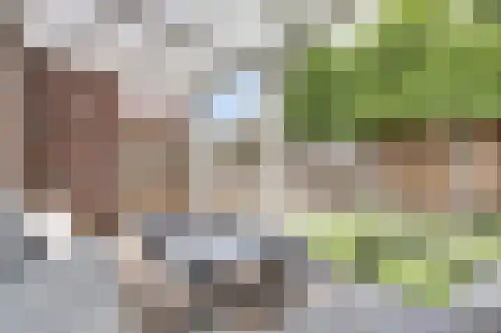Taxandriahof 6 Waalwijk thumbnail 29