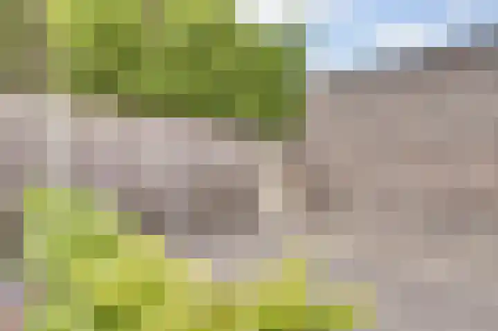 Taxandriahof 6 Waalwijk thumbnail 31