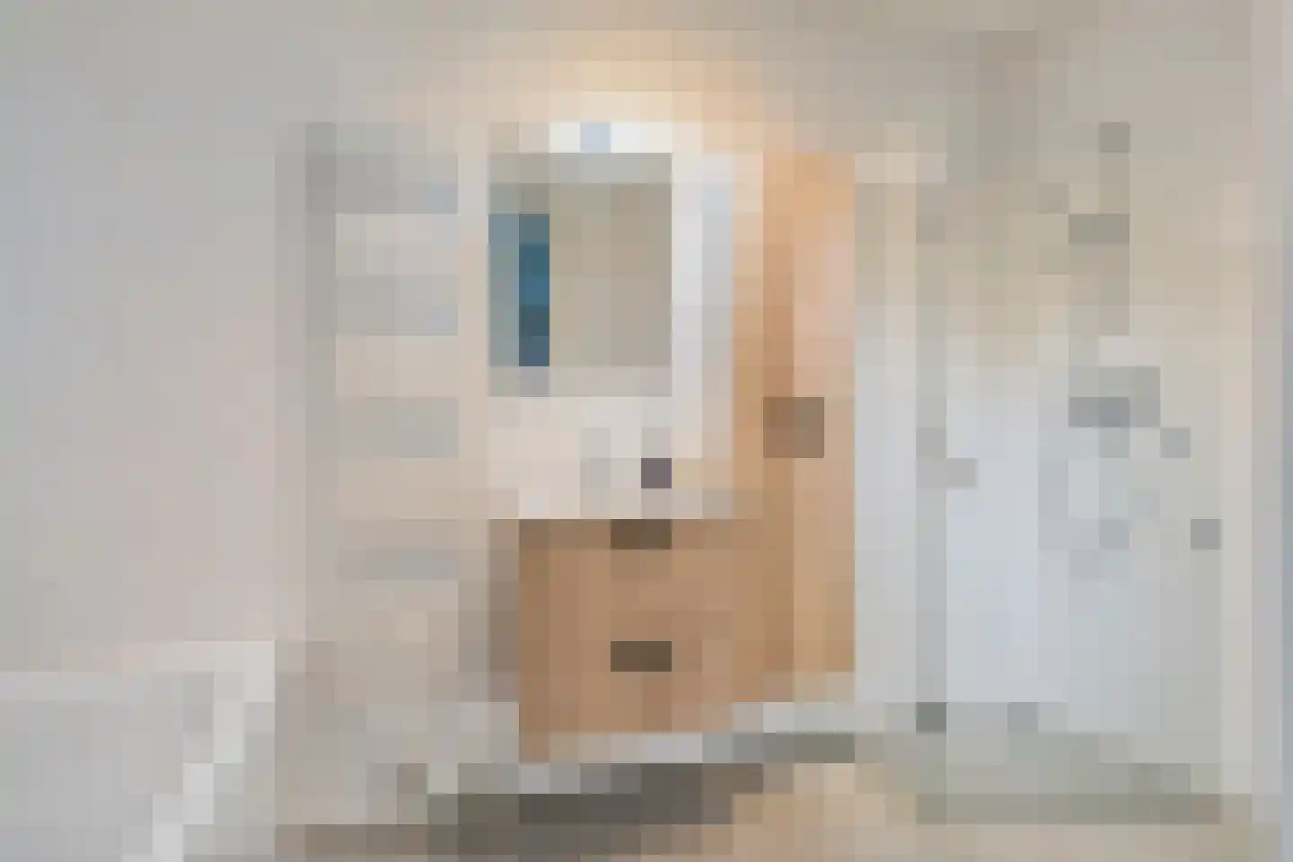 Taxandrialaan 42 Breda thumbnail 17