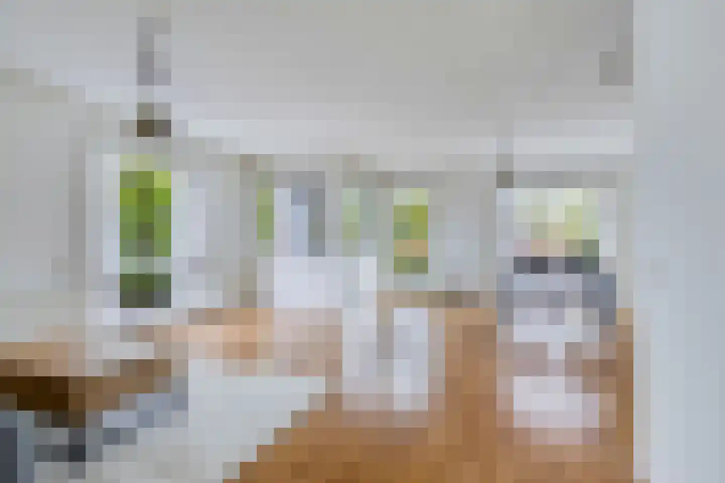 Taxandrialaan 42 Breda thumbnail 6