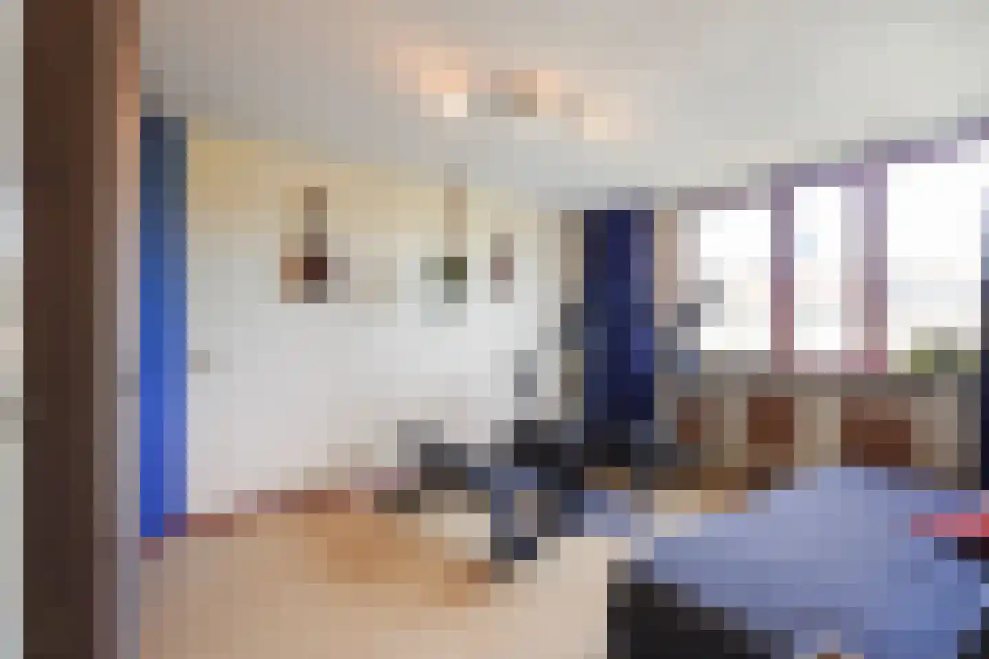 Taxandrialaan 45 Boxtel thumbnail 31