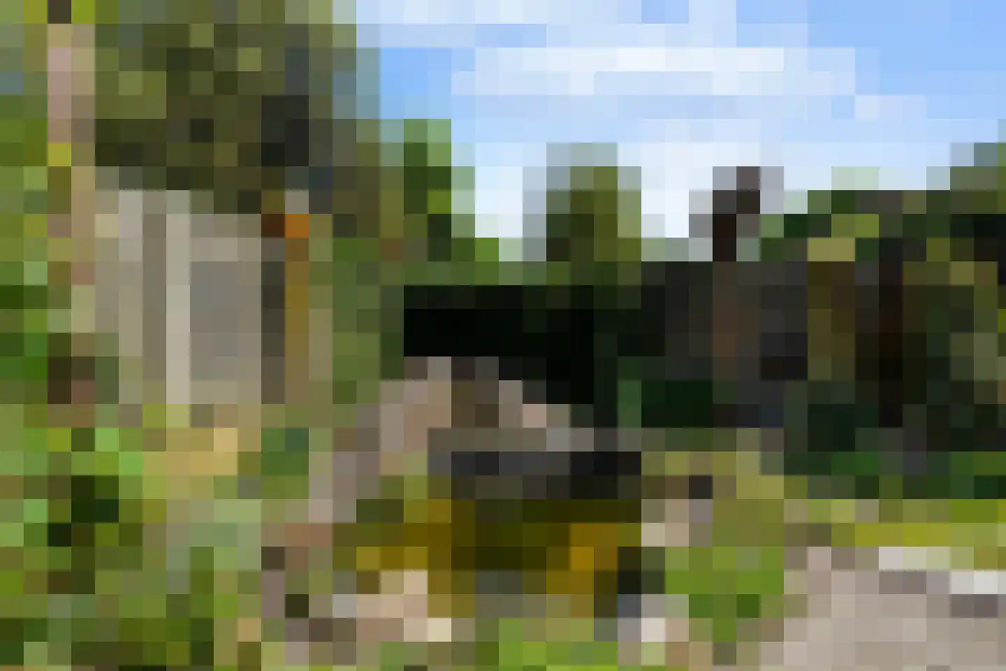 Taxandrialaan 45 Boxtel thumbnail 53