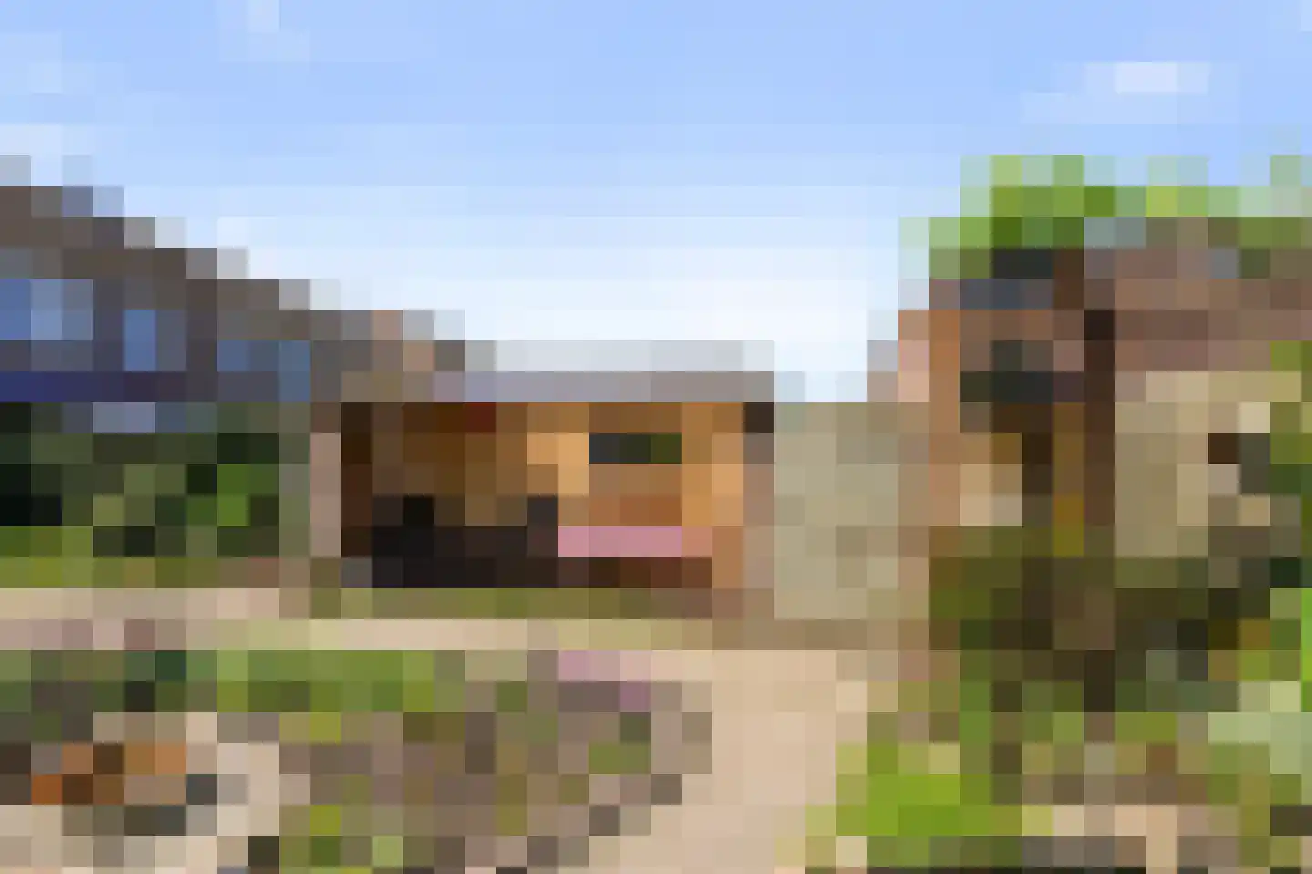 Taxandrialaan 45 Boxtel thumbnail 55