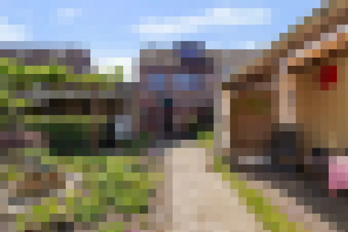 Taxandrialaan 45 Boxtel thumbnail 56