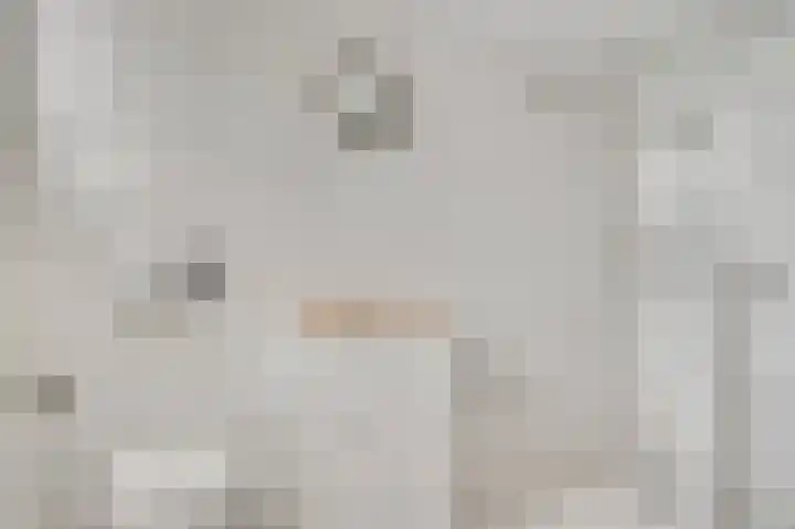 Taxandrialaan 49 Budel thumbnail 17