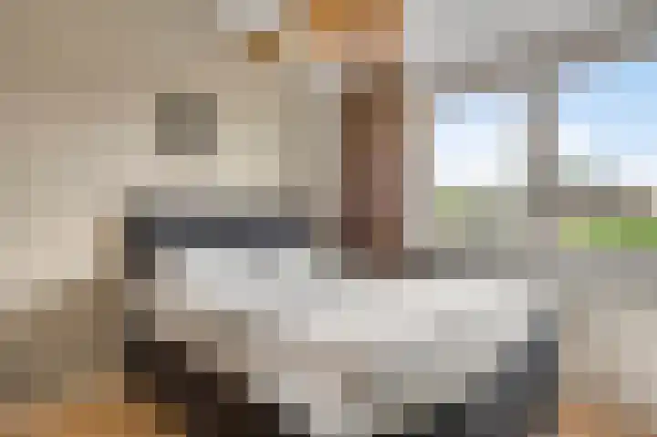 Taxandrialaan 49 Budel thumbnail 21