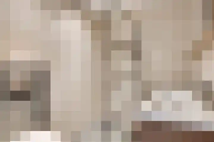 Taxandrialaan 49 Budel thumbnail 24