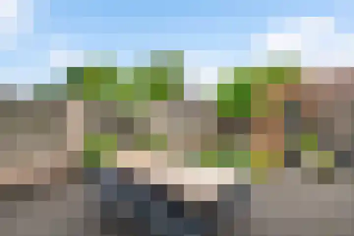 Taxandrialaan 49 Budel thumbnail 25