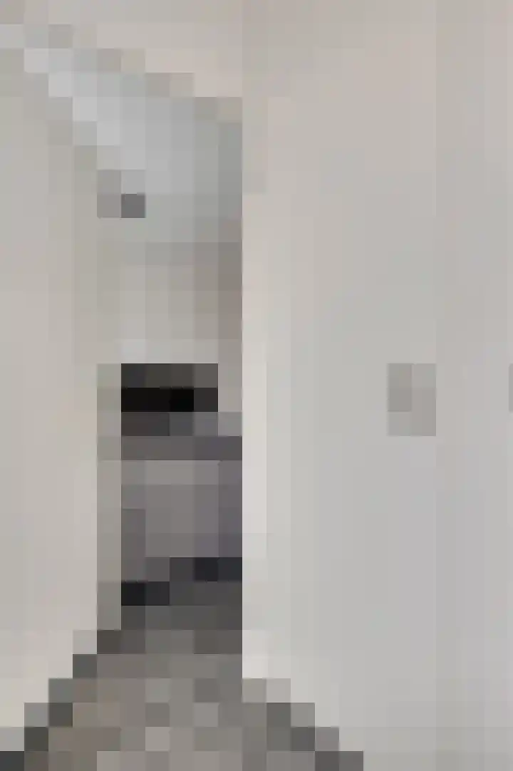 Taxandrialaan 49 Budel thumbnail 4