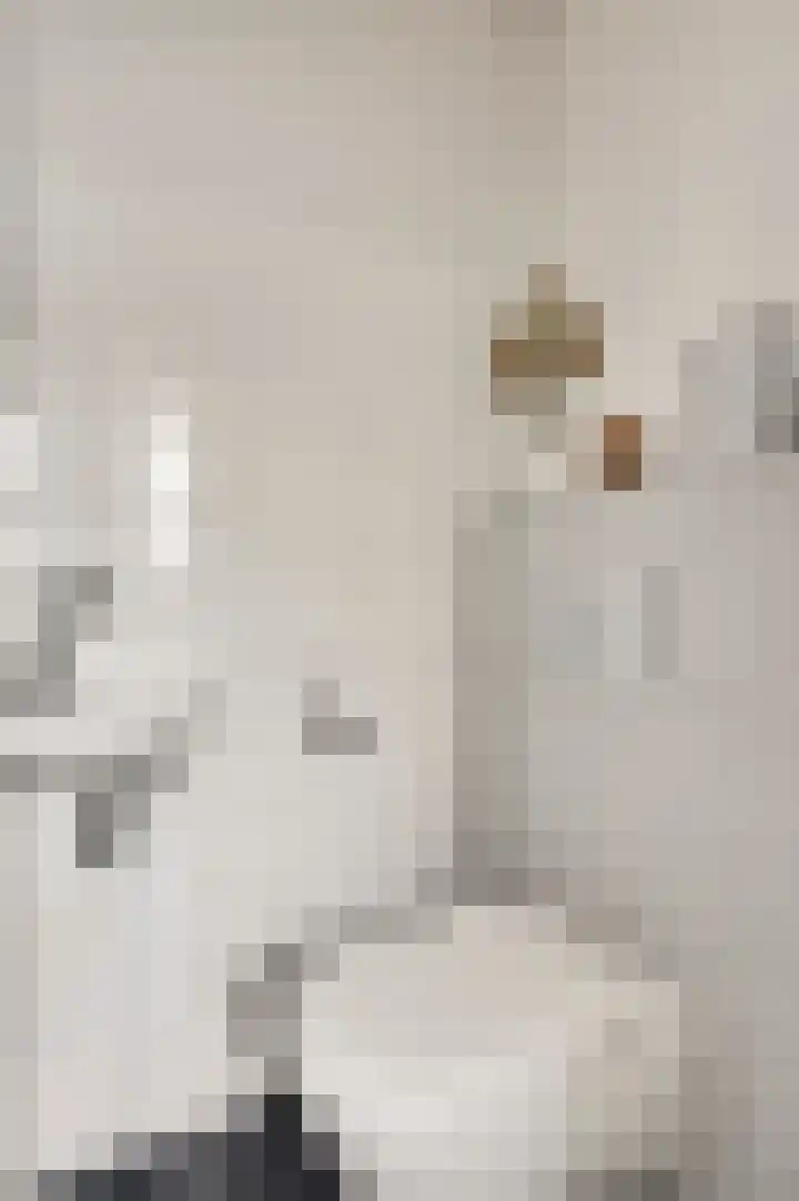 Taxandrialaan 49 Budel thumbnail 5