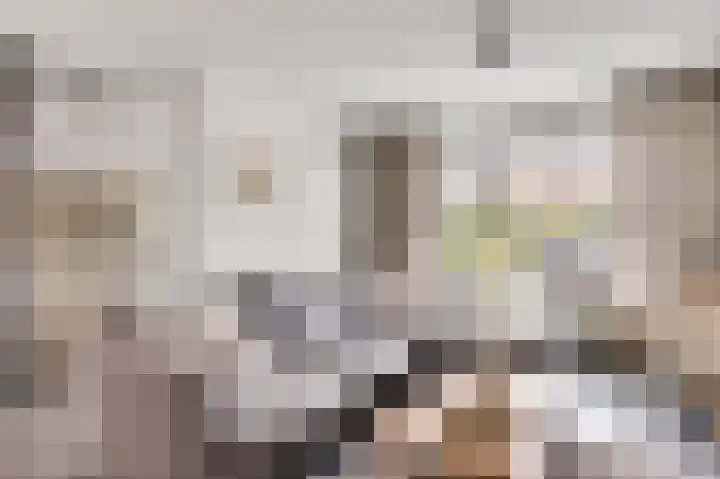 Taxandrialaan 49 Budel thumbnail 6
