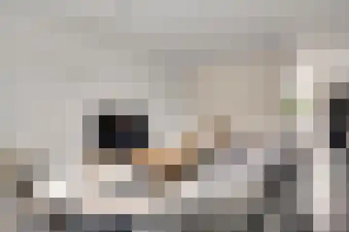 Taxandrialaan 49 Budel thumbnail 9
