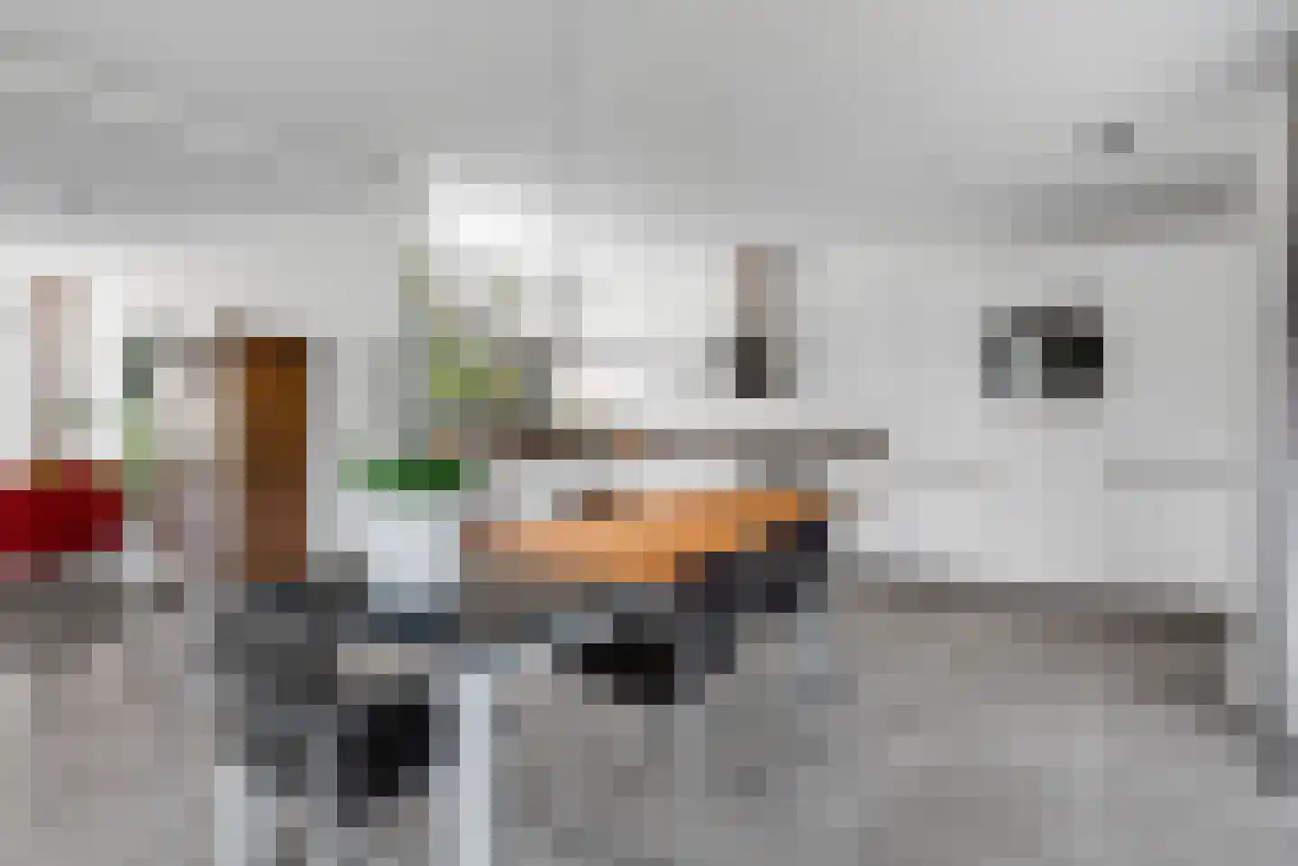 Taxandrialaan 8 Vught thumbnail 16