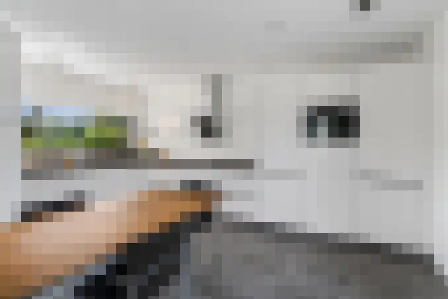 Taxandrialaan 8 Vught thumbnail 18
