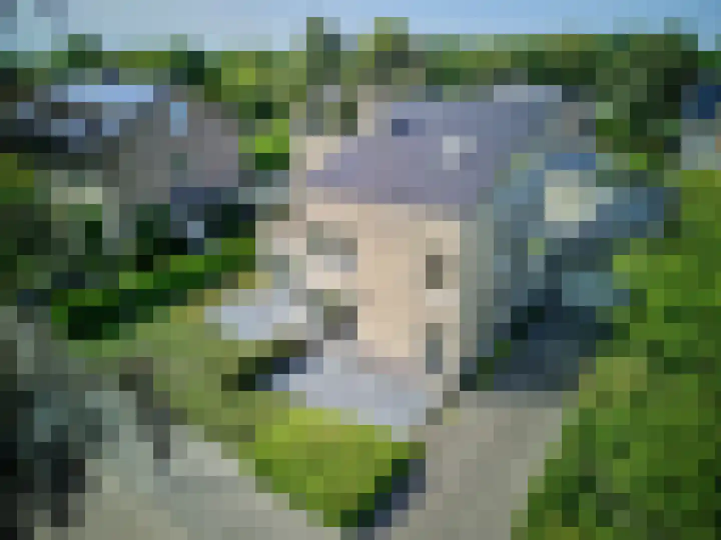 Taxandrialaan 8 Vught thumbnail 59