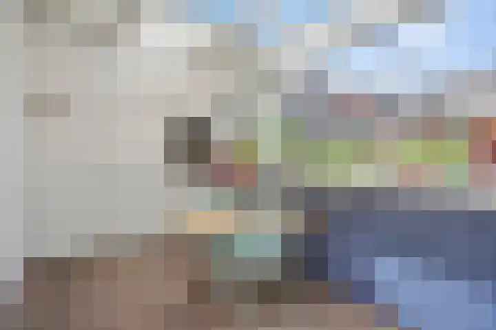 Taxandriaplein 21 's-Hertogenbosch thumbnail 19