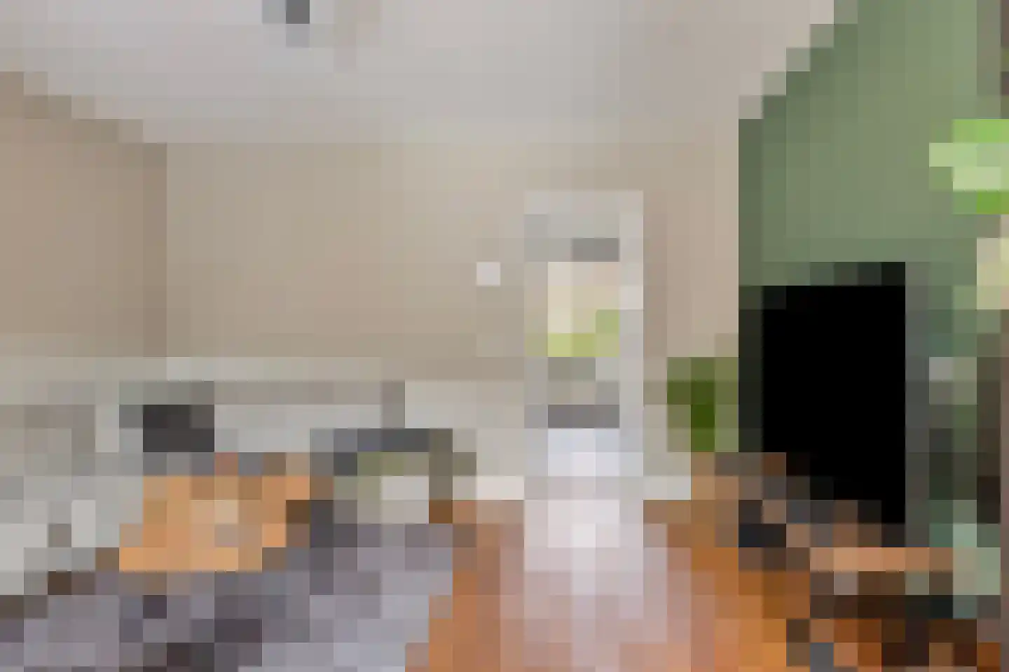 Taxandriastraat 12 Sint-Oedenrode thumbnail 11