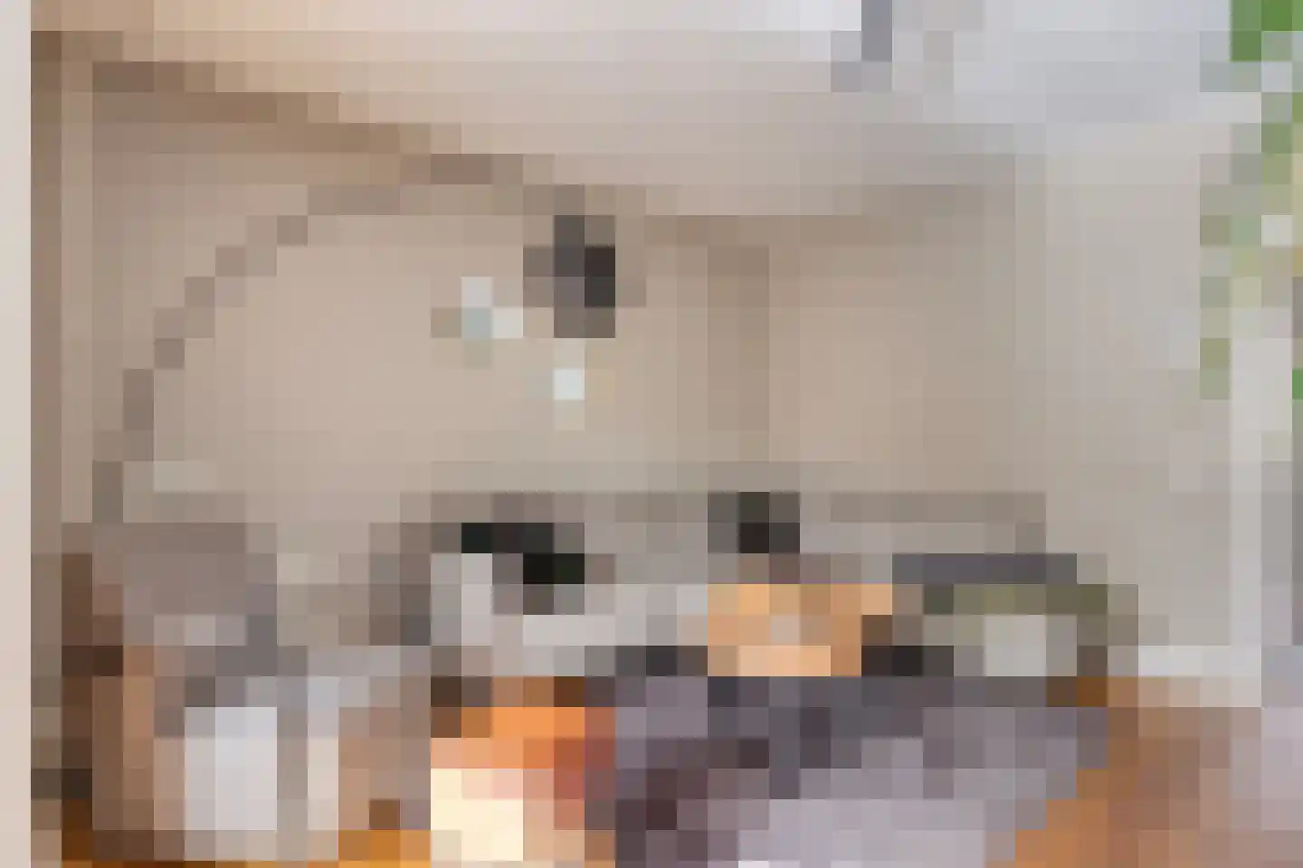 Taxandriastraat 12 Sint-Oedenrode thumbnail 12