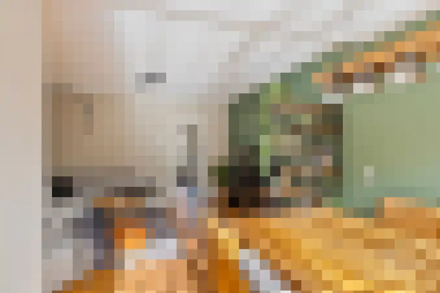 Taxandriastraat 12 Sint-Oedenrode thumbnail 14