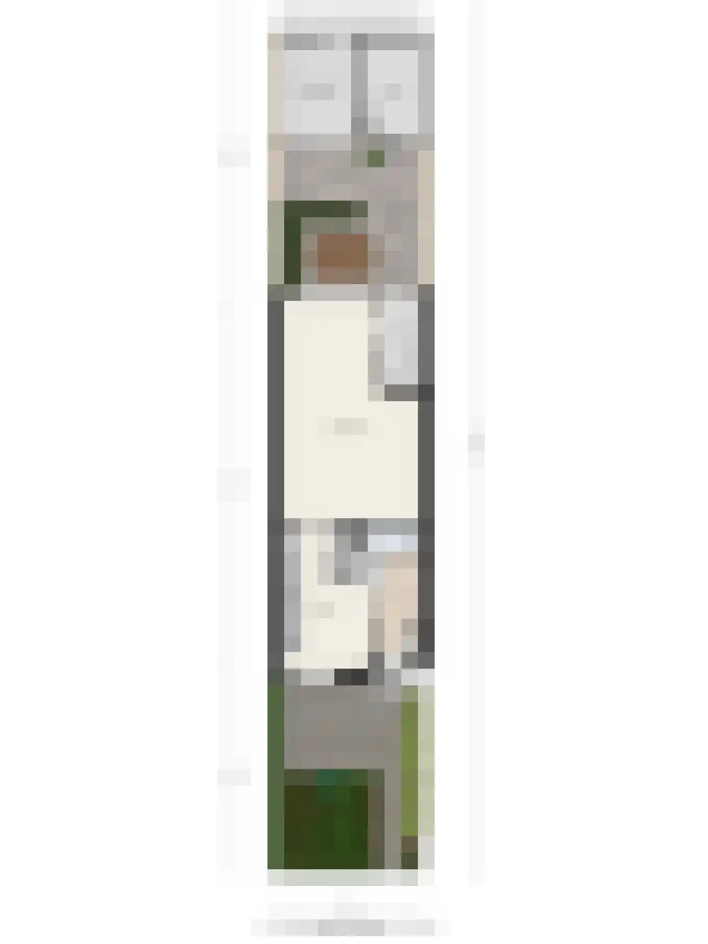 Taxandriastraat 12 Sint-Oedenrode thumbnail 32