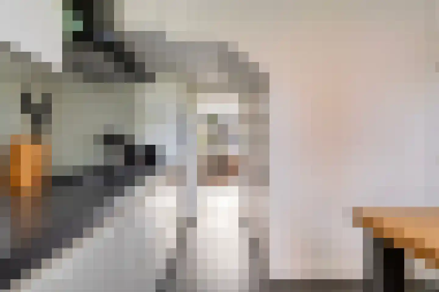 Taxandriastraat 12 Sint-Oedenrode thumbnail 8