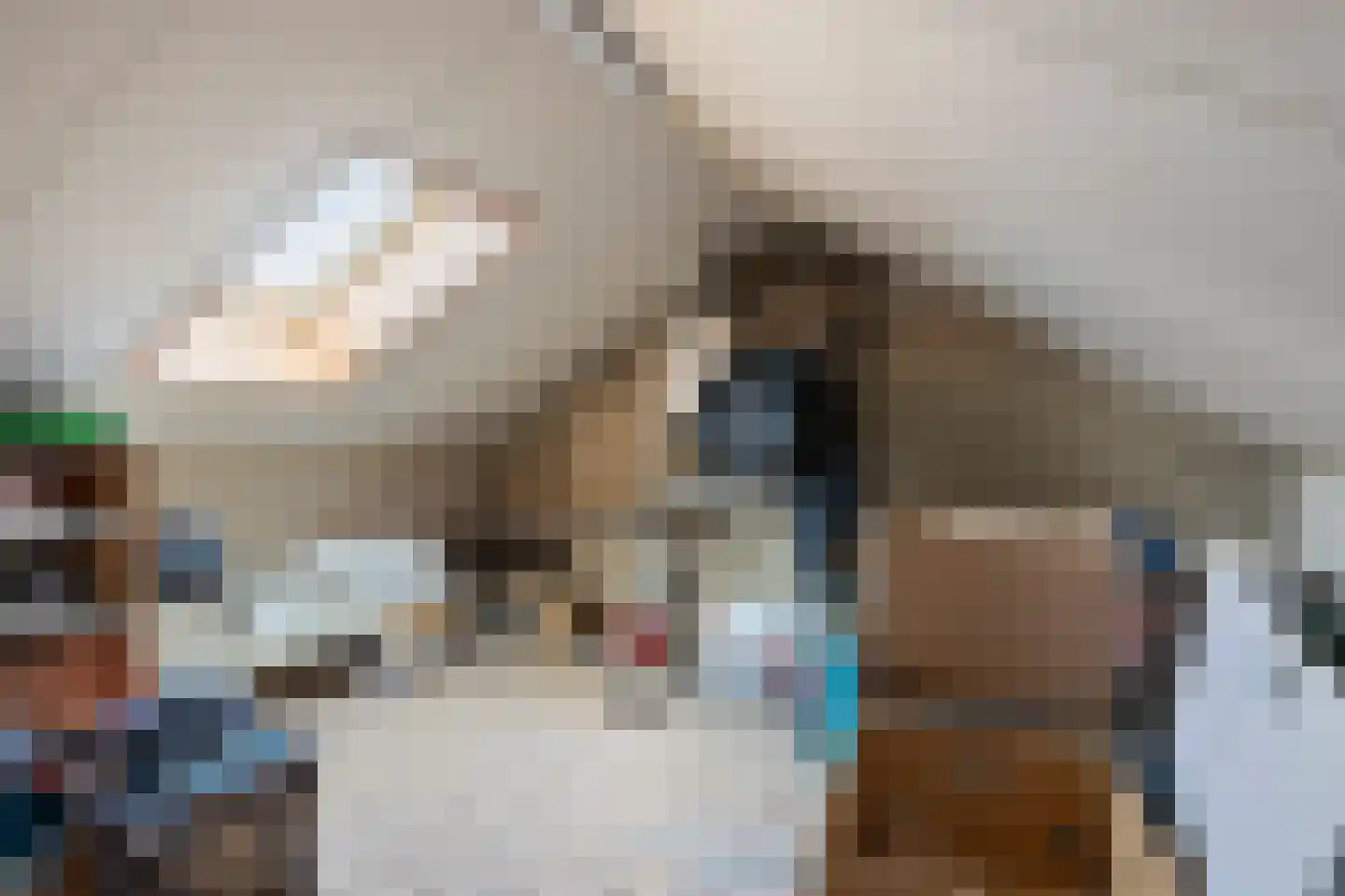 Taxandriastraat 16 Sint-Oedenrode thumbnail 23