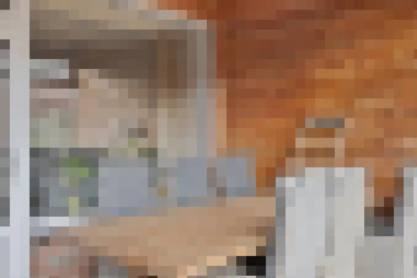 Taxandriastraat 16 Sint-Oedenrode thumbnail 28