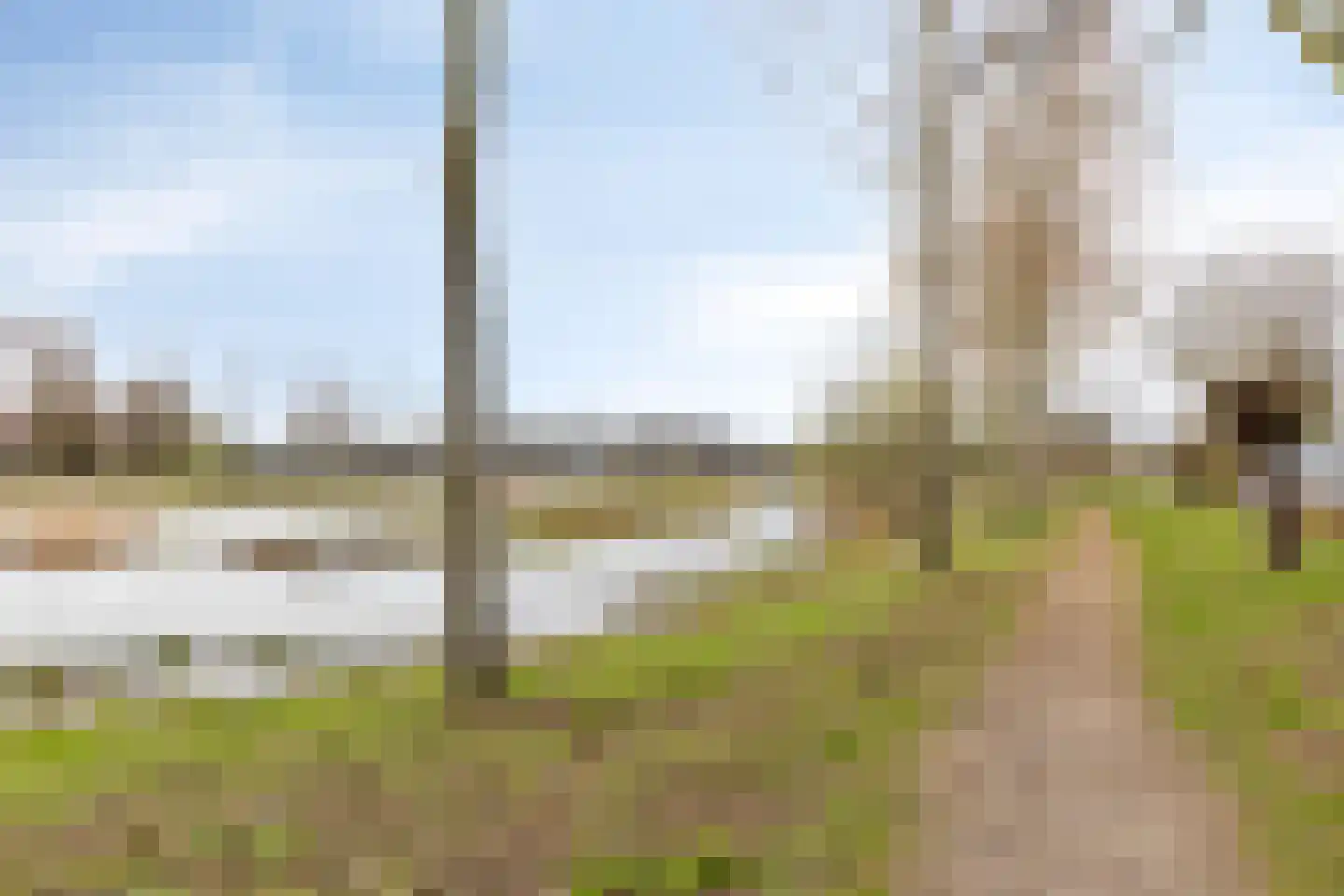 Taxandriastraat 16 Sint-Oedenrode thumbnail 29