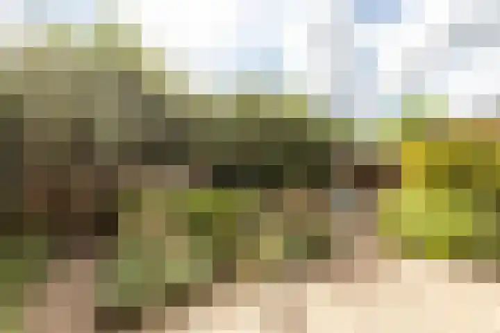 Taxandriëstraat 6 Oosterhout thumbnail 36