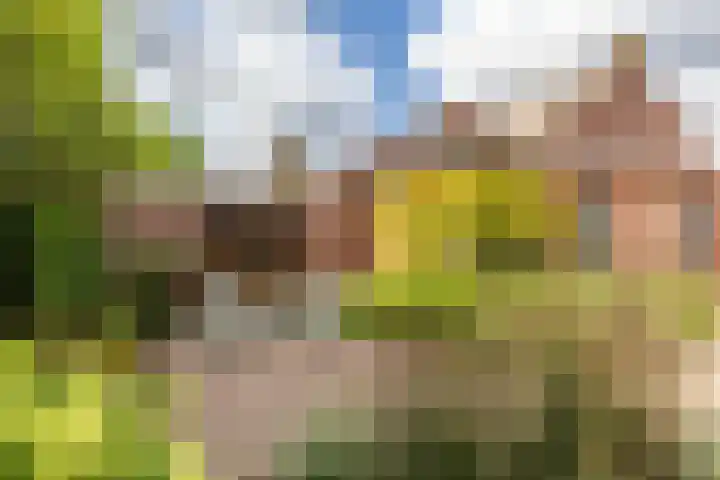 Taxandriëstraat 6 Oosterhout thumbnail 37