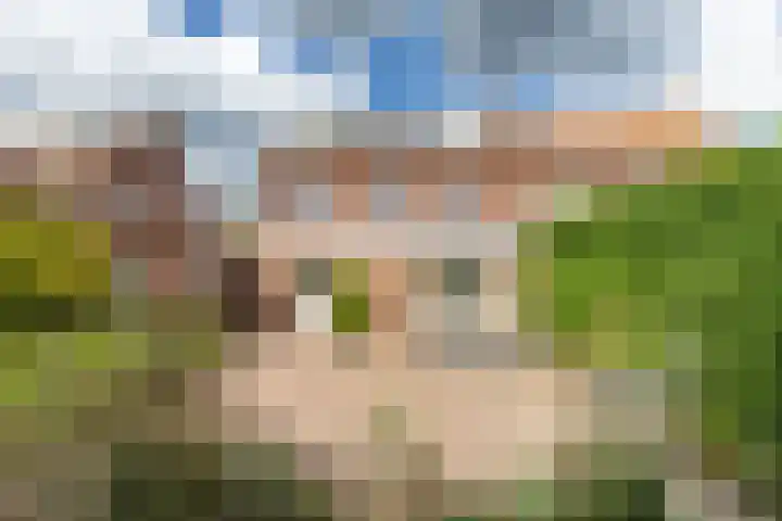 Taxandriëstraat 6 Oosterhout thumbnail 38