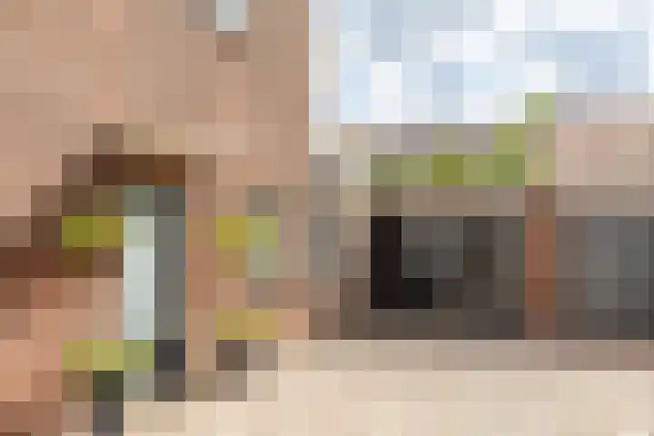 Taxandriëstraat 6 Oosterhout thumbnail 42