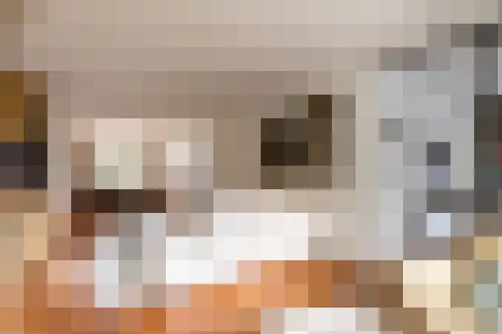 Taxandriëstraat 6 Oosterhout thumbnail 5
