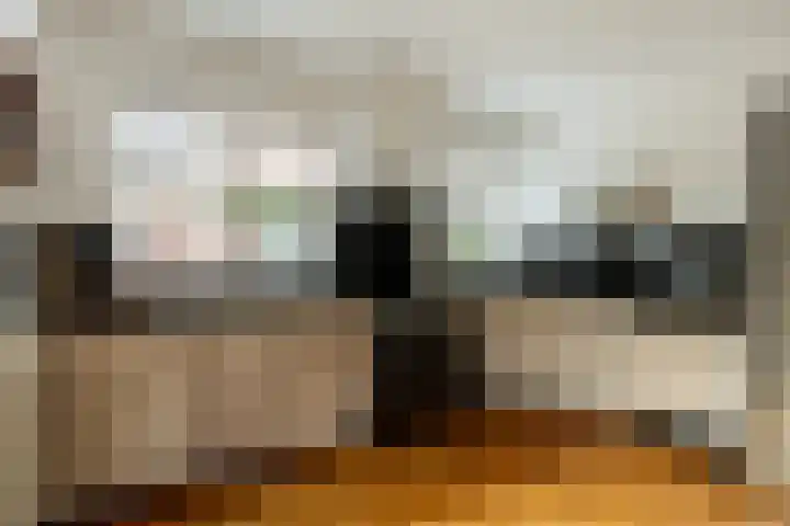 Taxandriëstraat 6 Oosterhout thumbnail 9